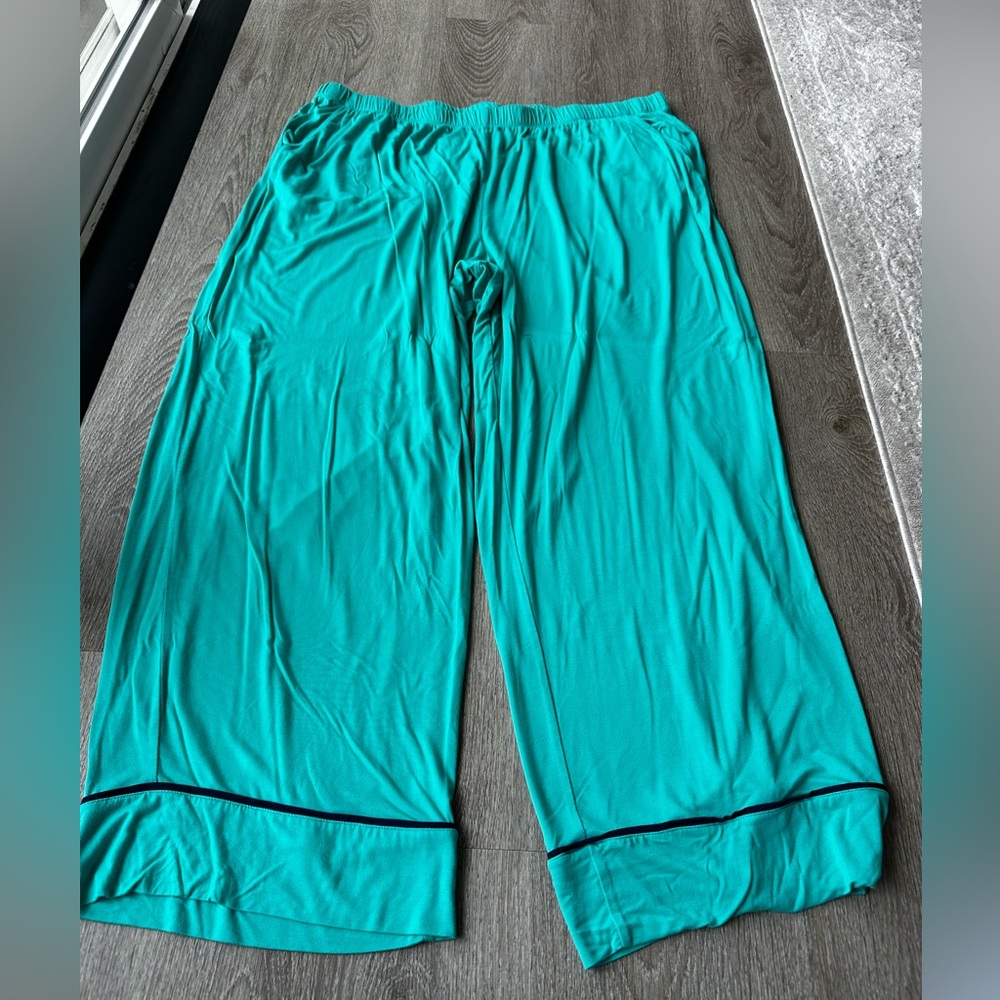 Aerie Teal Relaxed Pants